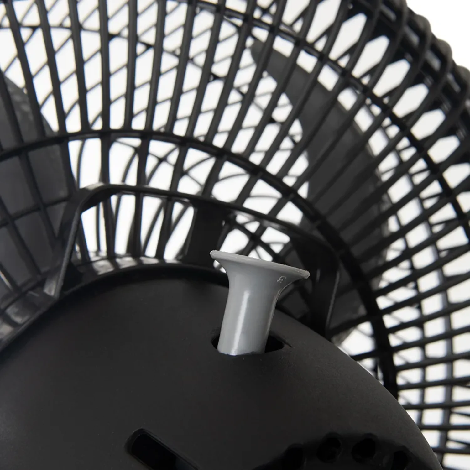 Imagen del producto 7